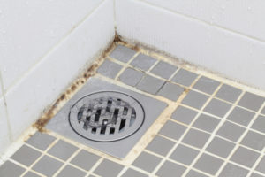 Mold in Bathroom - Mold Remediation Orange County